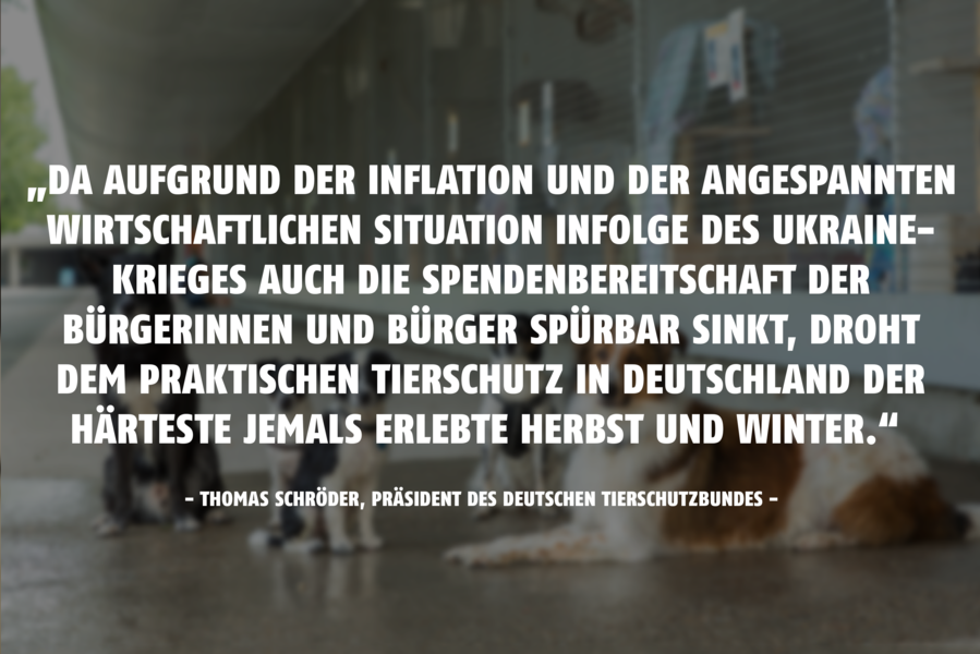 Zitat Thomas Schröder, Tierheime am Limit